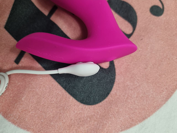 Lovense Flexer Review: The game-changing panty vibrator?