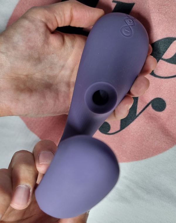 LELO Enigma Wave Experience