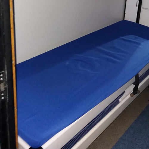 Sex in a train bed