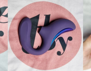 LELO Enigma Wave Featured