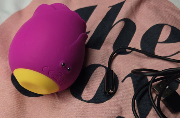 Back view of ROMP Rose showing charging ports next to its custom magnetic USB cable, highlighting how the charger connects.