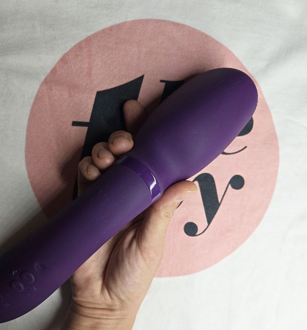 We-Vibe Wand 2 in my hand