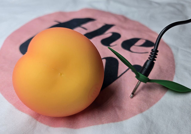 Womanizer Peach Charging Port