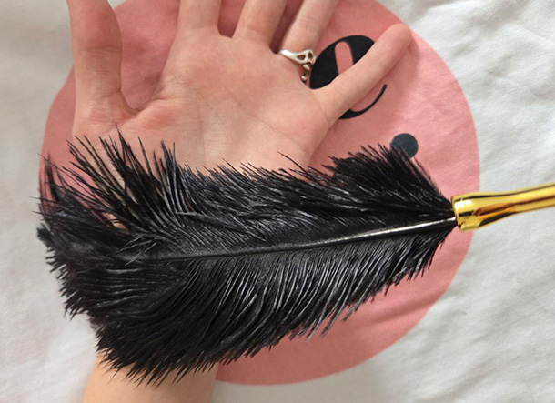Lovense Lover Set accessories: feather tickler