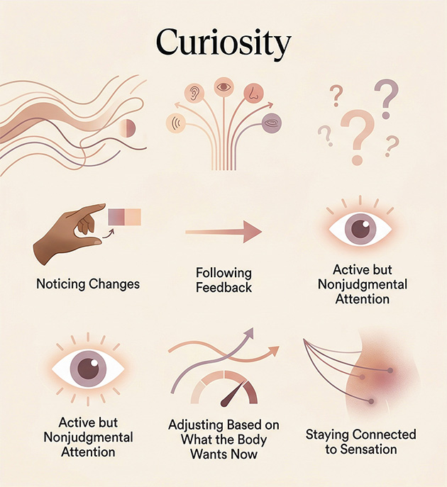 Infographic comparing curiosity about sensation with outcome-chasing, showing how one stays connected to feedback while the other turns pleasure into progress tracking.