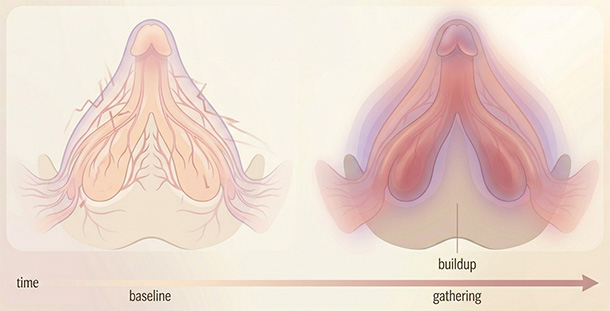 Before-and-after illustration contrasting flat, procedural arousal (self-monitoring) vs. organic gathering erotic buildup needed for orgasm.