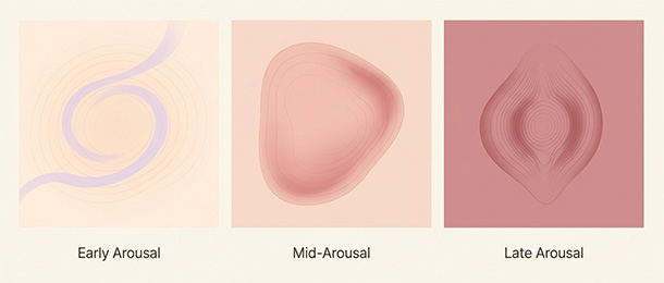 Before-mid-after arousal illustration showing how preference can naturally shift from movement to steady pressure (or vice versa) as arousal builds.