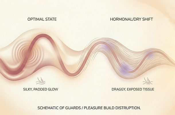 Illustration of how hormonal or dryness changes can make the same contact feel draggy, exposed, or reactive instead of silky and welcoming.