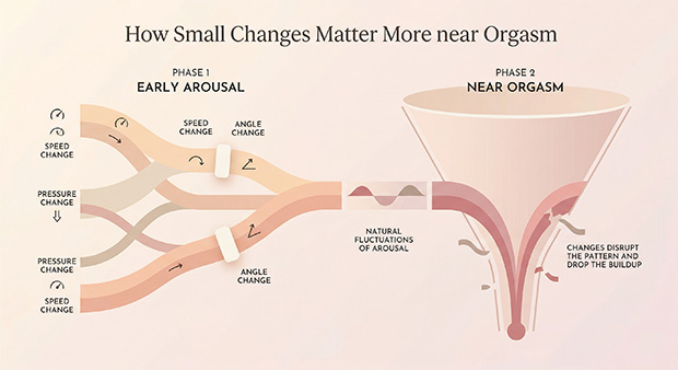 Diagram showing that small changes in speed, pressure, or angle are easier to absorb early in arousal but can disrupt orgasm when someone is close.