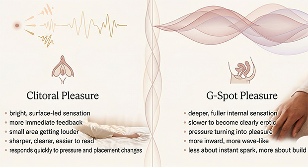 Infographic comparing clitoral pleasure as brighter, more precise, and surface-led with G-spot pleasure as deeper, fuller, and slower-building.