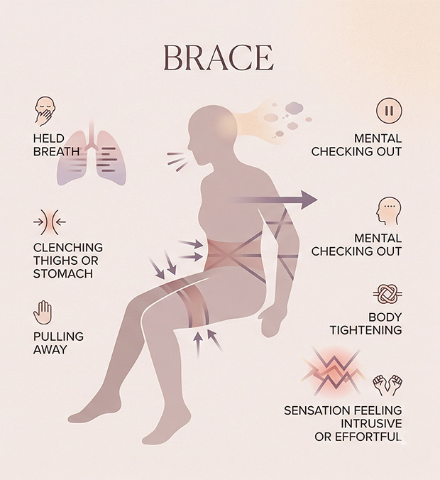 Comparison graphic showing how a body that opens feels softer, calmer, and more curious, while a body that braces feels tense, guarded, or ready to pull away.