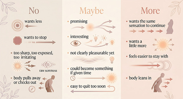 Infographic showing a simple body-feedback map of no, maybe, and more to help identify what kind of stimulation feels promising or unwanted.