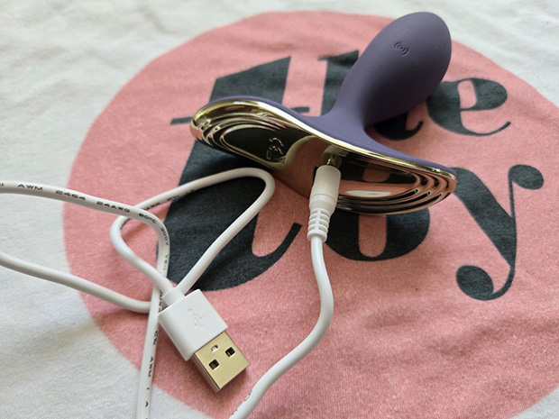 Lelo Surfer 2 connected to its charger.