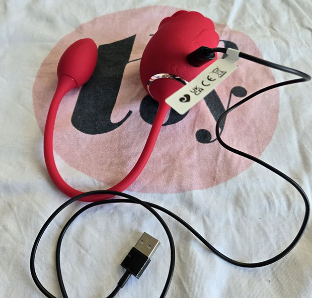 Lovehoney Rose Glow attached to its magnetic charger