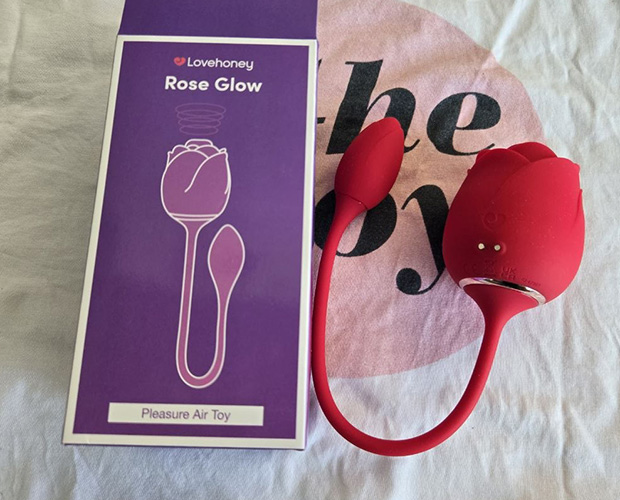 Lovehoney Rose Glow 2-in-1 stimulator unboxed beside its magnetic USB charging cable, instruction booklet, safety guide, and storage bag on a clean surface.