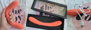 Lelo boomerang review featured image