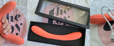Lelo boomerang review featured image