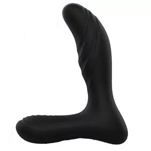 Paloqueth Anal Vibrator For Men