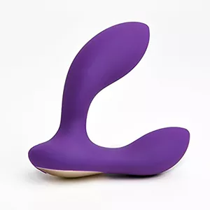 Lelo Bruno Prostate Massager